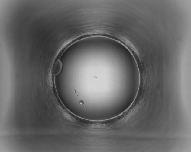 X0000112950789200908241342