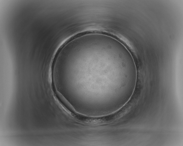 X0000112950791200908241342