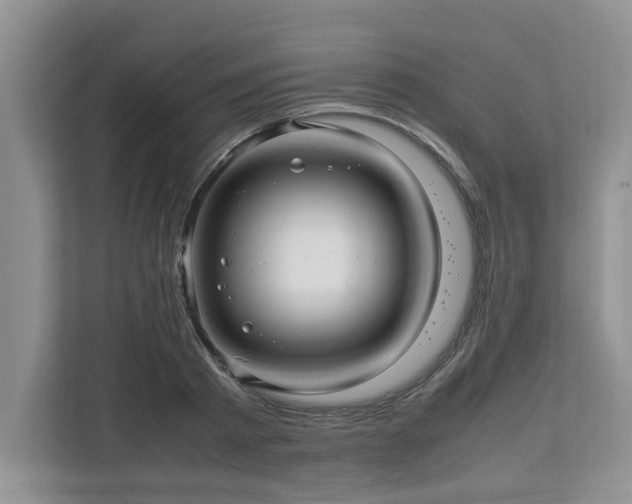 X0000112950793200908241342