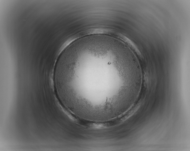 X0000112950794200908241342