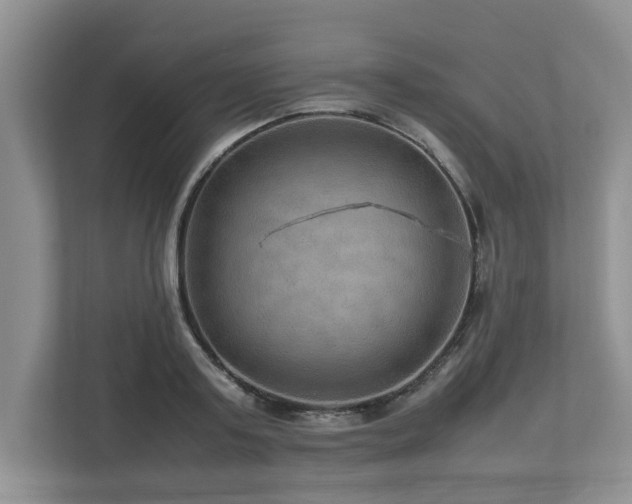 X0000112950795200908241342