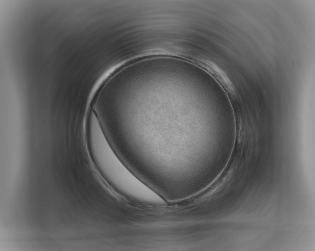 X0000112950796200908241342