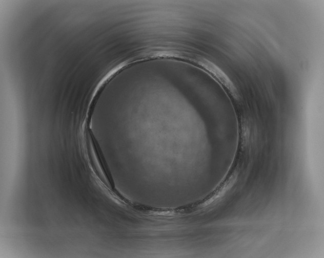 X0000112950798200908241341