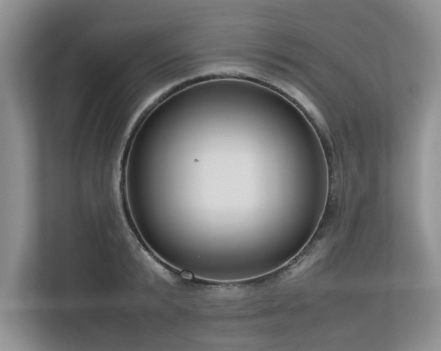 X0000112950799200908241341