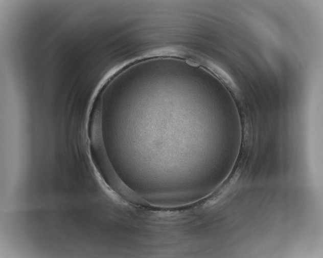 X0000112950800200908241341