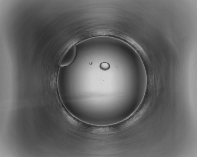 X0000112950801200908241341