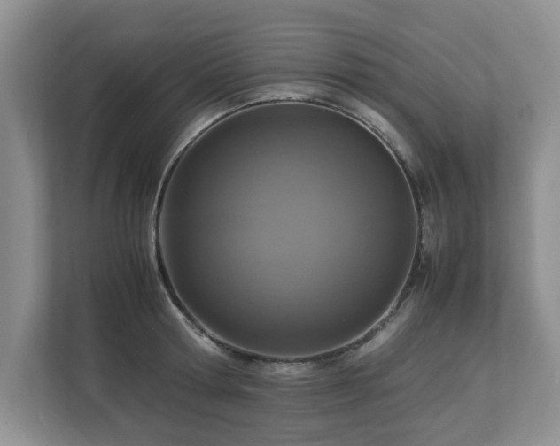 X0000112950802200908241341