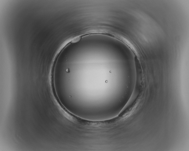 X0000112950803200908241341