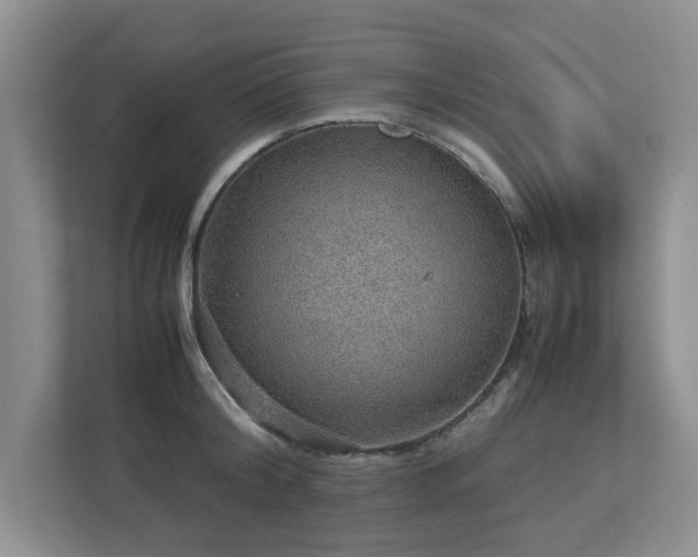 X0000112950804200908241341