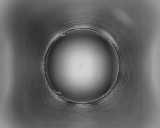 X0000112950805200908241341