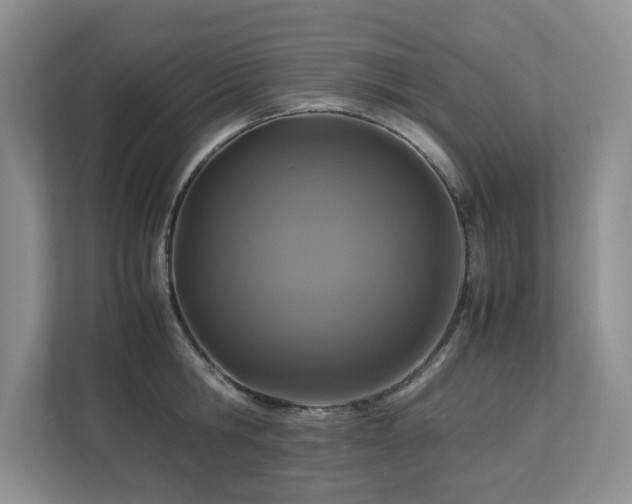 X0000112950806200908241341