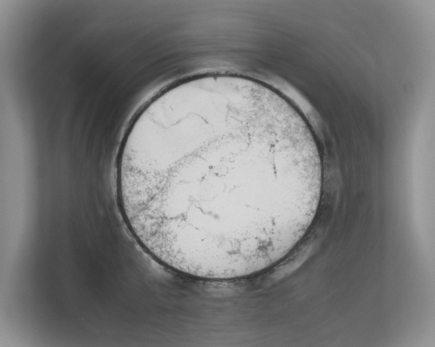 X0000112950807200908241341