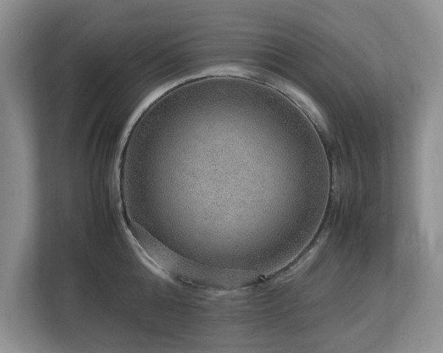 X0000112950808200908241341