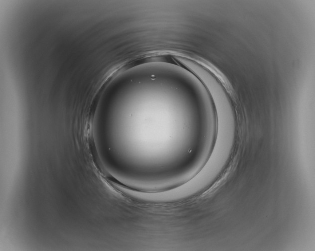 X0000112950809200908241341