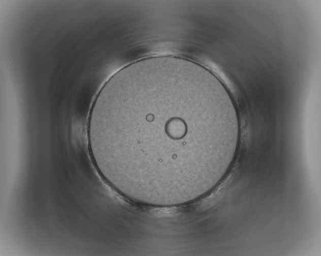 X0000112950810200908241341