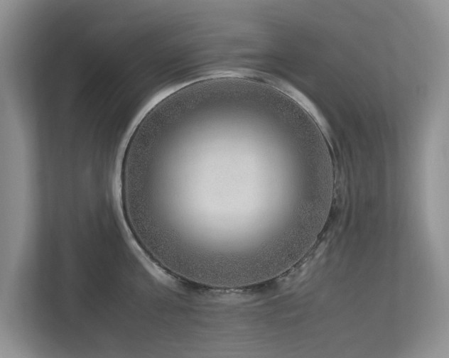 X0000112950811200908241341