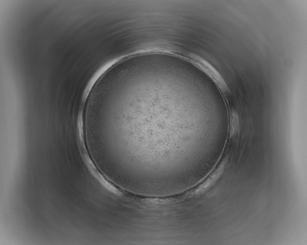 X0000112950812200908241341