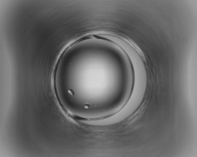 X0000112950813200908241341