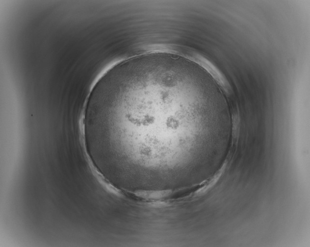 X0000112950814200908241341