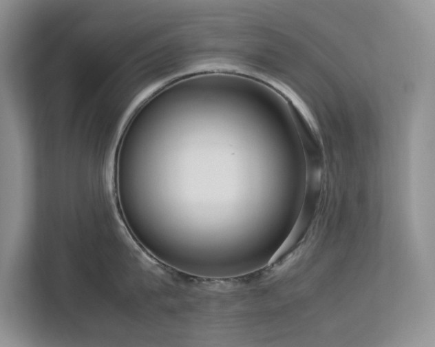 X0000112950815200908241341