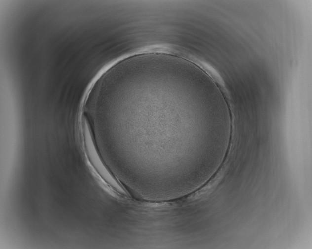 X0000112950816200908241341