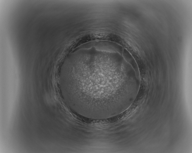 X0000112950817200908241341