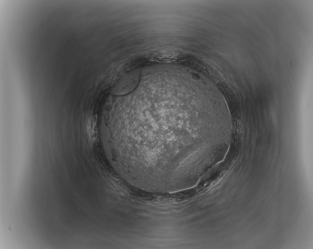 X0000112950818200908241341