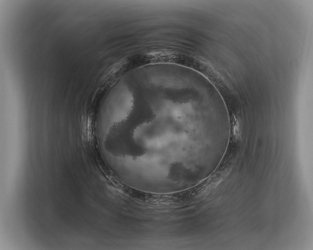 X0000112950819200908241341