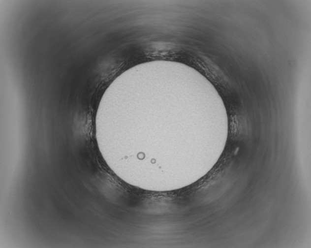 X0000112950820200908241341