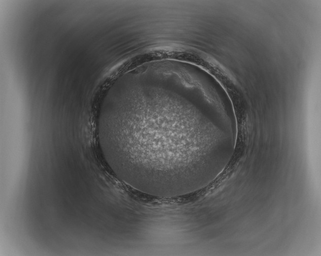 X0000112950822200908241341