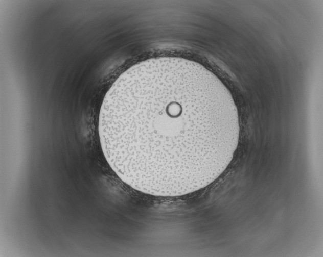 X0000112950824200908241341