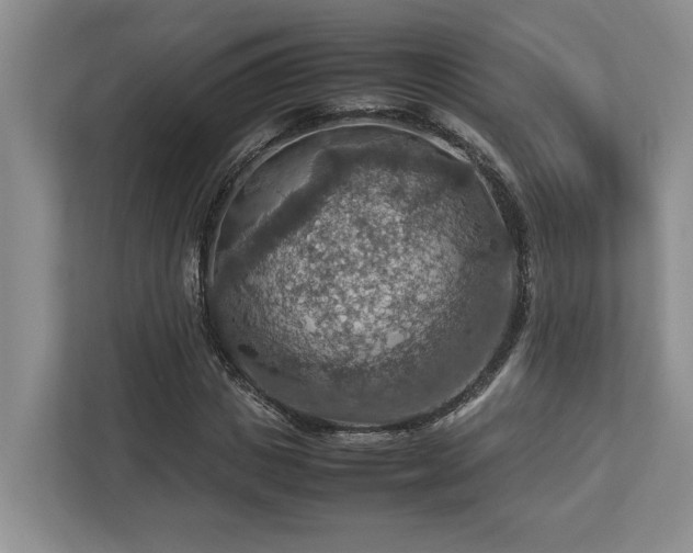 X0000112950825200908241341