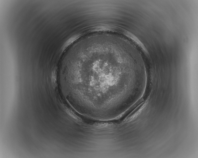 X0000112950826200908241341