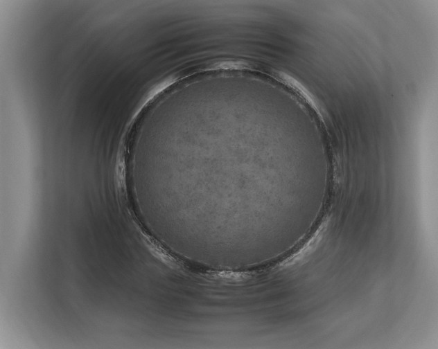 X0000112950827200908241341