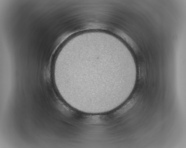 X0000112950828200908241341