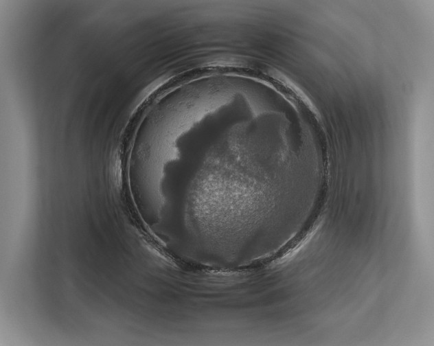 X0000112950829200908241341