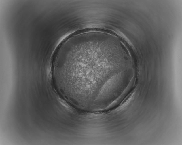 X0000112950830200908241341