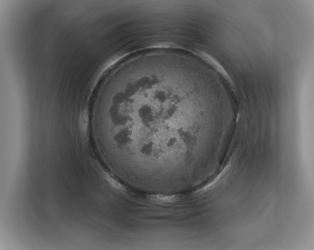 X0000112950831200908241341