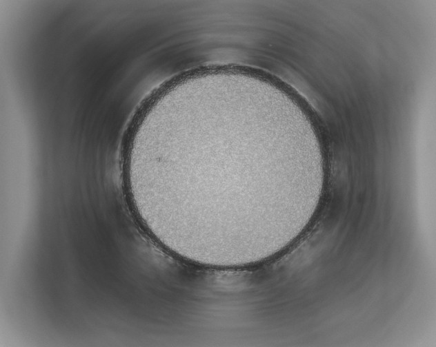 X0000112950832200908241341