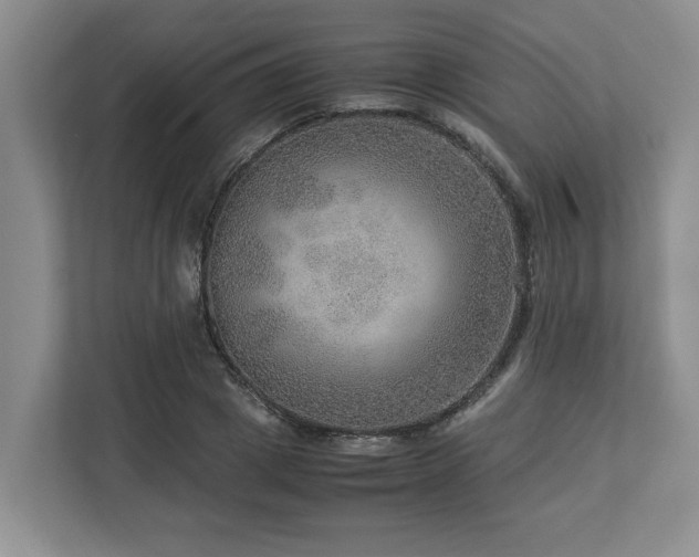 X0000112950833200908241341