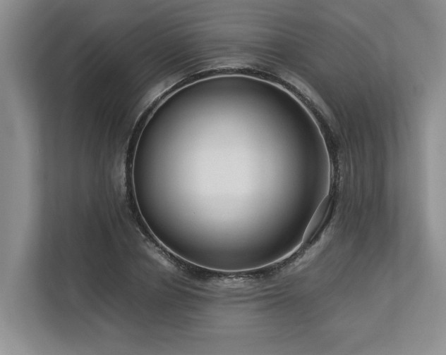 X0000112950834200908241341