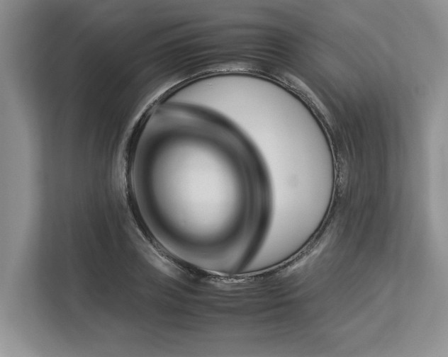 X0000112950835200908241341