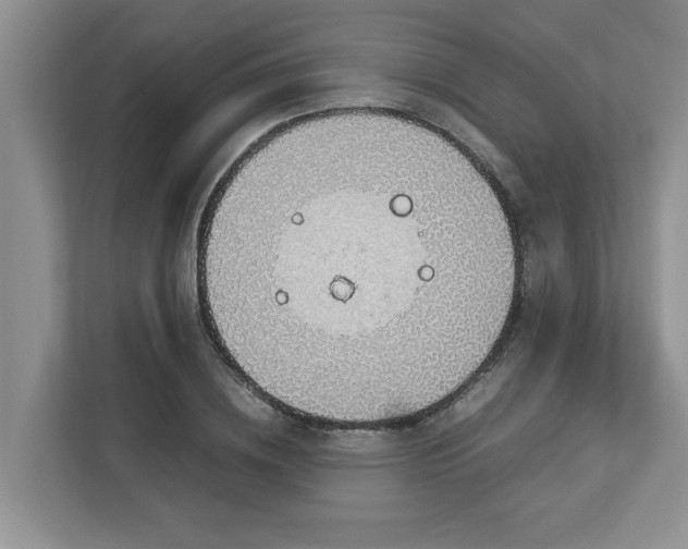 X0000112950836200908241341