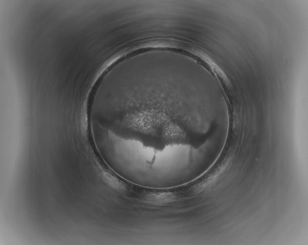 X0000112950837200908241341