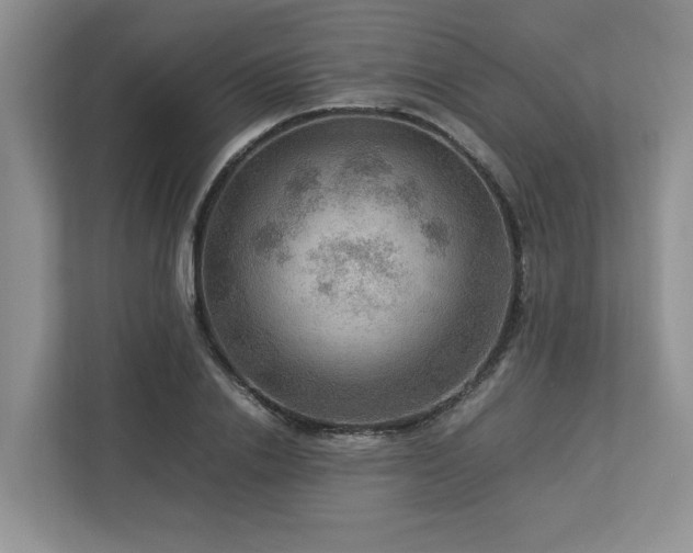 X0000112950838200908241341