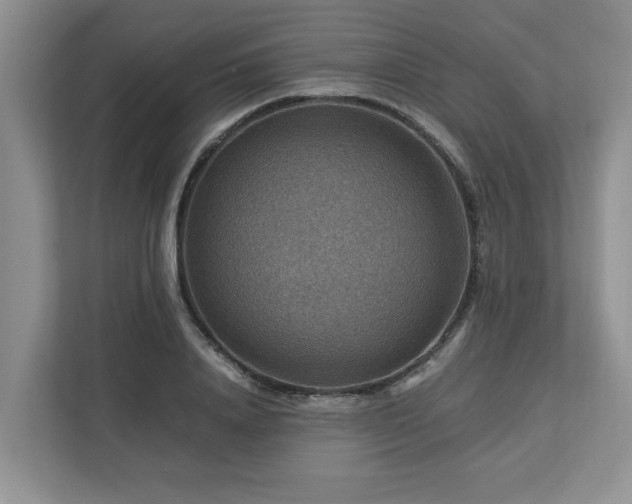 X0000112950840200908241341