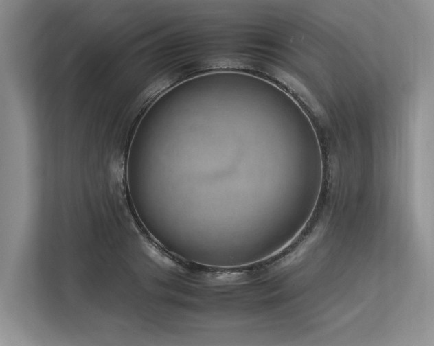 X0000112950841200908241341