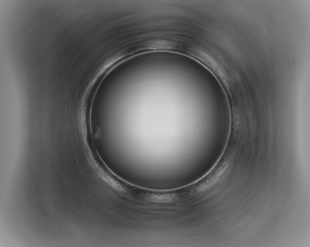 X0000112950843200908241341