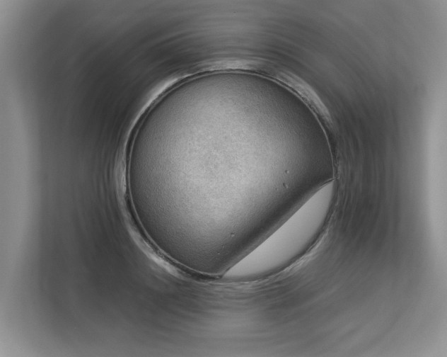 X0000112950844200908241341