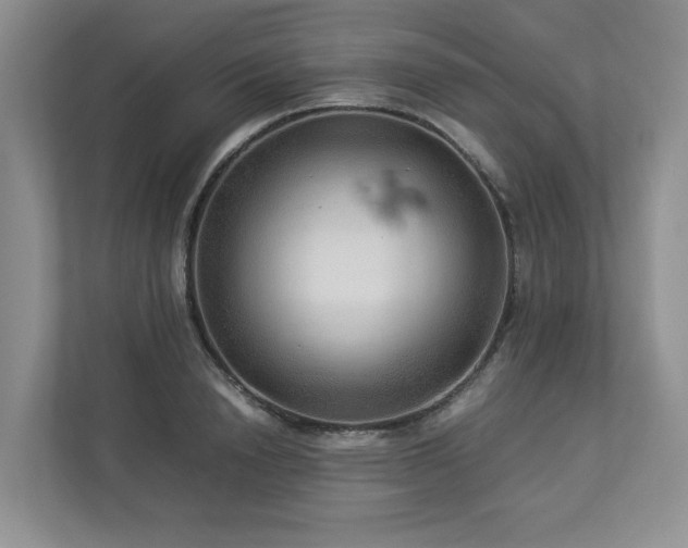 X0000112950846200908241341